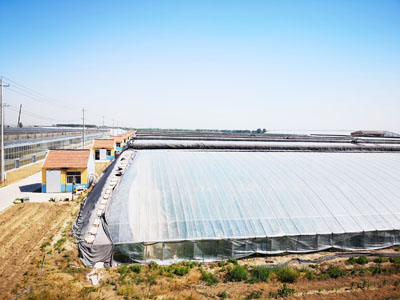 ���ﱣ�ر��͑􄢿�